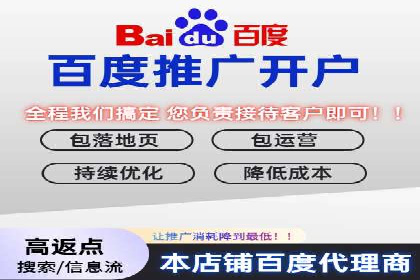 百度竞价公司运营策略：成功案例解析